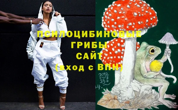 крисы Алексеевка