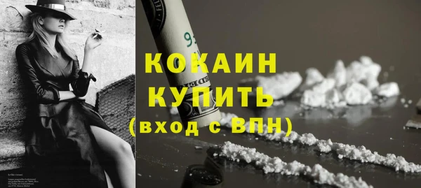 тгк Абаза