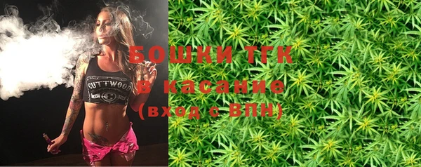 тгк Абаза