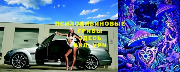 крисы Алексеевка
