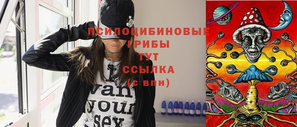 крисы Алексеевка