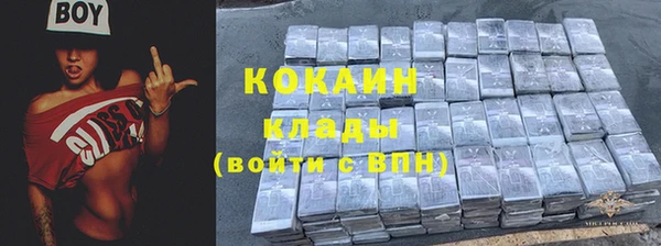 тгк Абаза