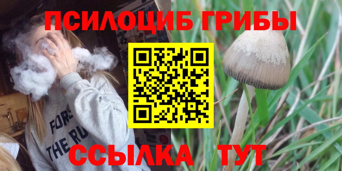 Ирбит  Псилоцибиновые грибы Cubensis  Вход с VPN  Псилоцибиновые грибы MAGIC MUSHROOMS 